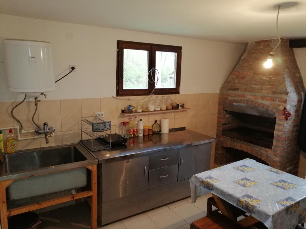 Etno Kuca Nikolov Villa ดิมิโตรฟกราด ภายนอก รูปภาพ